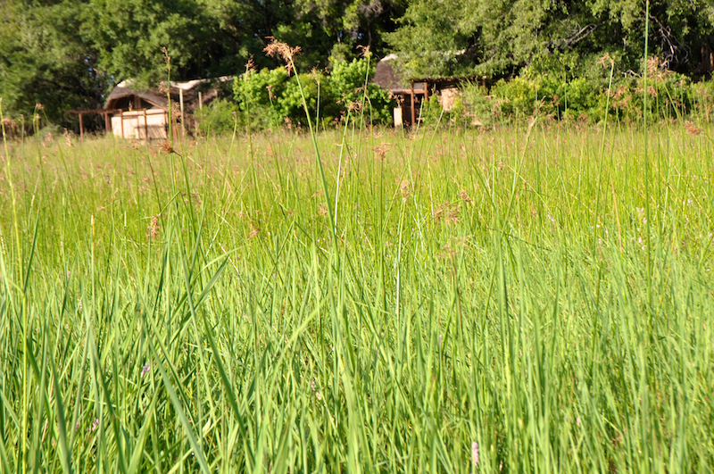 Melanie Heinrich Travel Images Africa